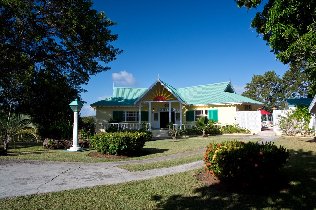 Alamanda from the front driveway